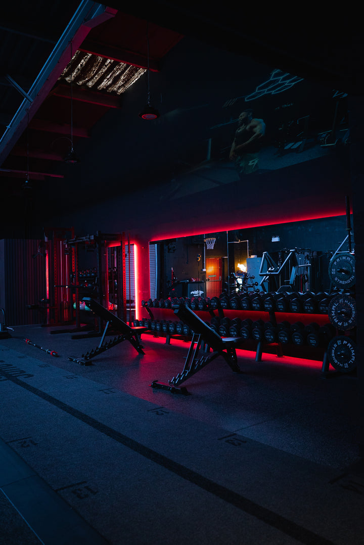 STUDIO 01: THE GYM